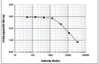ELISA: Histone H4 [ac Lys5, ac Lys8, ac Lys12] Antibody [NBP2-59252]
